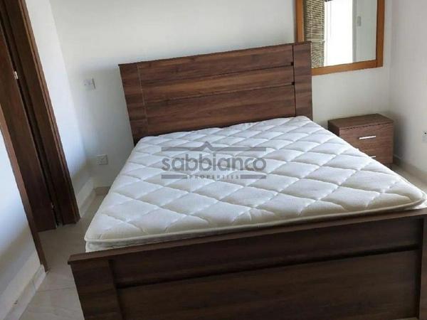1 bedroom apartment for rent aglantzia nicosia 8749646 image 16477665