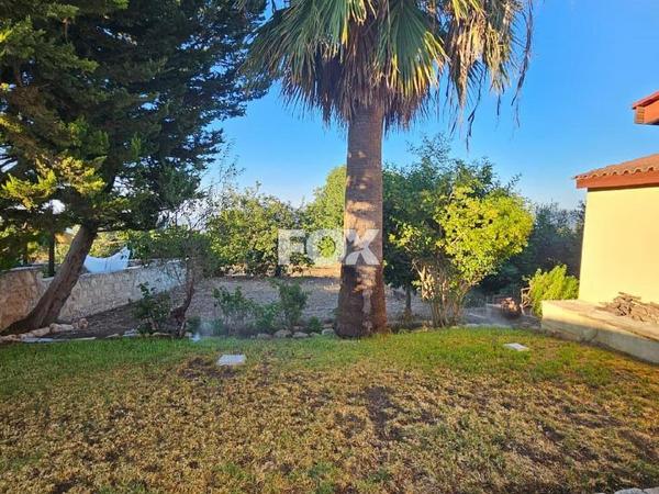 3 bedroom detached house for rent drousia paphos 8286646 image 17133610