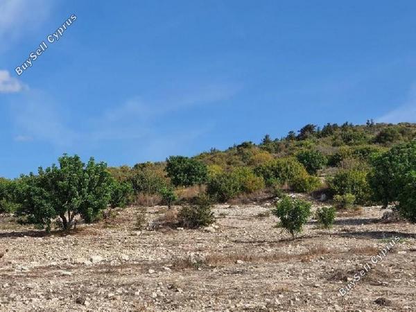 land for sale koili paphos 8630646 image 17011649
