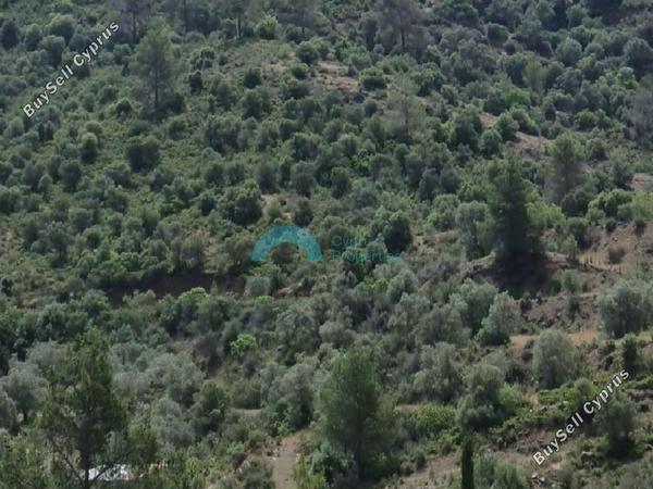 land for sale lythrodontas nicosia 1890646 image 7136745