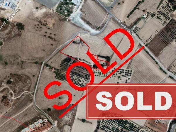 land sold pyla larnaca 849646 image 9689679
