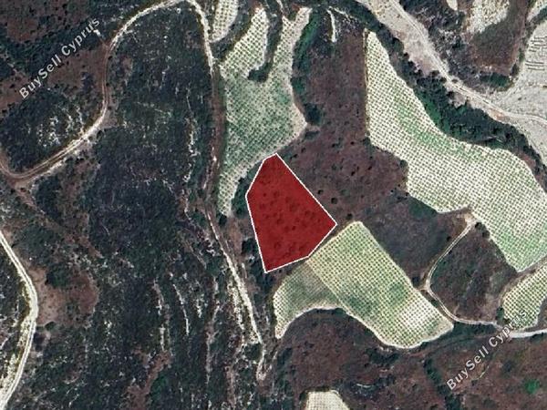 land for sale koilani limassol 962746 image 15600877