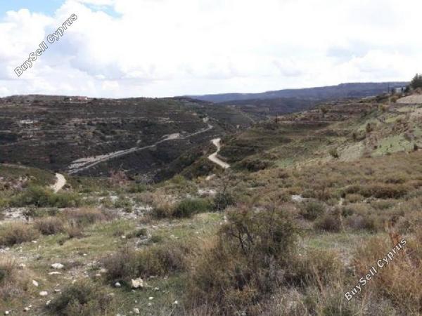 land for sale koilani limassol 962746 image 15600878