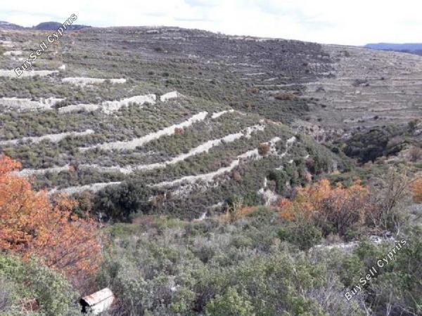 land for sale koilani limassol 962746 image 15600879