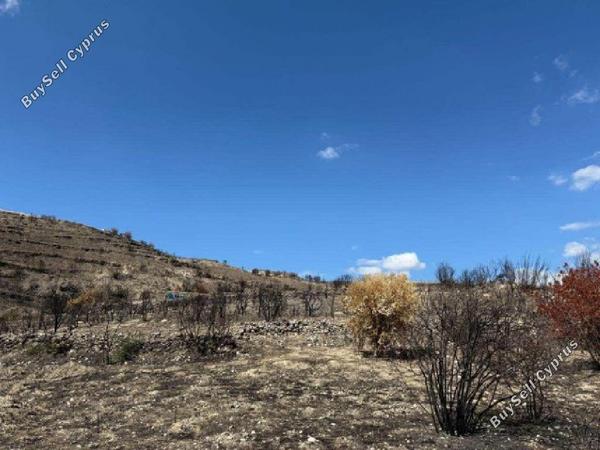 land for sale koilani limassol 962746 image 17158557