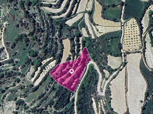 land for sale koili paphos 1897746 image 14208096