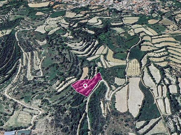 land for sale koili paphos 1897746 image 14208100