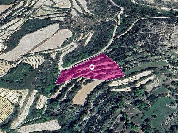 land for sale koili paphos 1897746 image 14208104