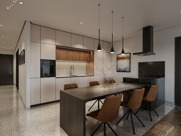 1 bedroom apartment for sale mesogi paphos 8785846 image 16660024