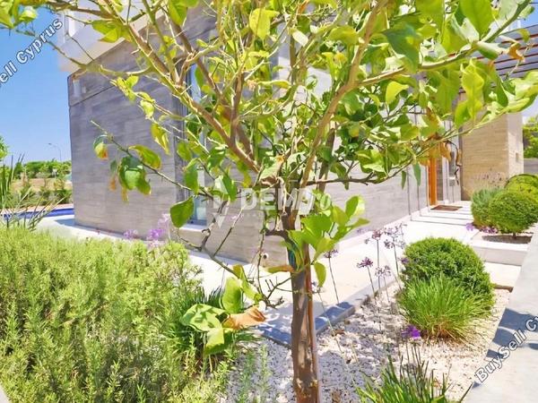 3 bedroom detached house for rent chlorakas paphos 8771846 image 16677620
