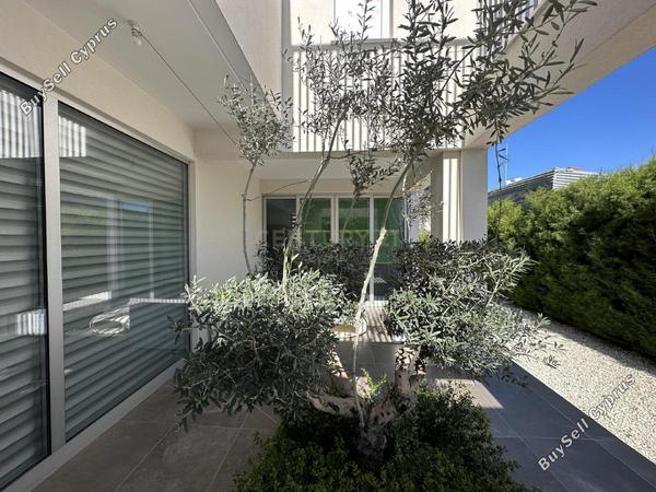 3 bedroom detached house for sale agios ioannis limassol 1280846 image 15164383