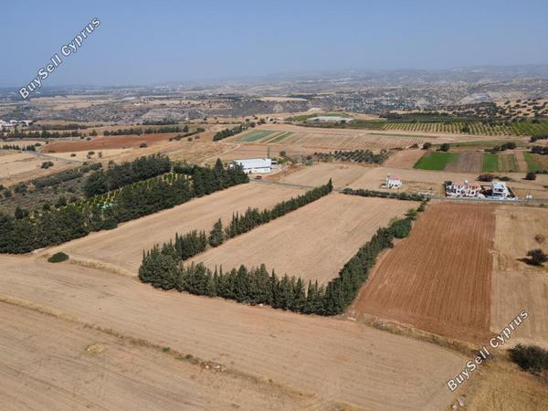 land for sale kouklia pafou paphos 1707846 image 15597101