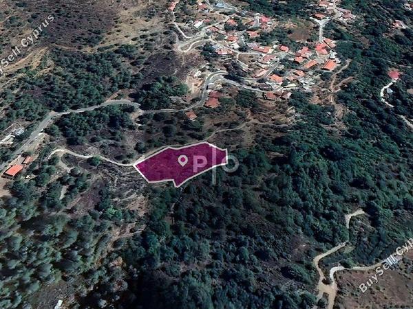 land for sale lemithou limassol 8274846 image 15155528
