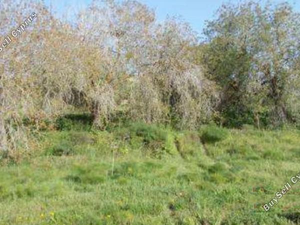 land for sale tremithousa paphos 1355846 image 15279247