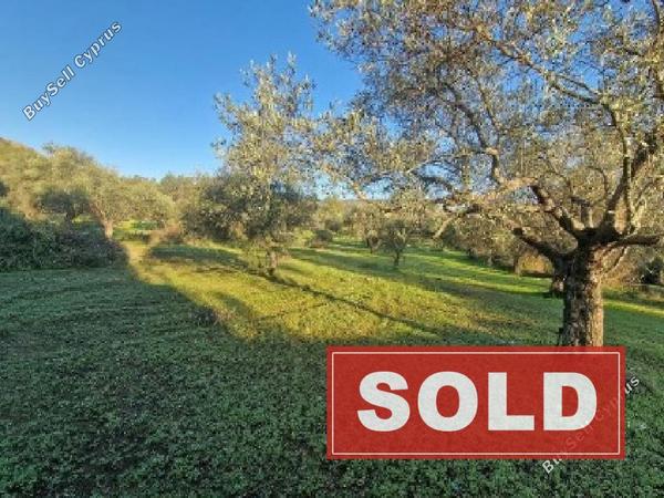 land sold lythrodontas nicosia 1810846 image 6230416