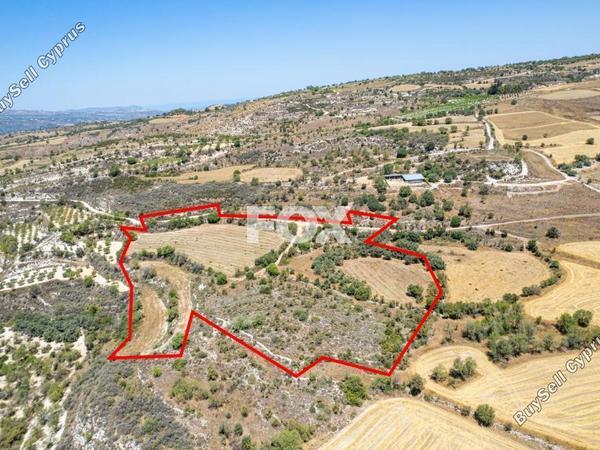 land for sale drynia paphos 8467946 image 15183670