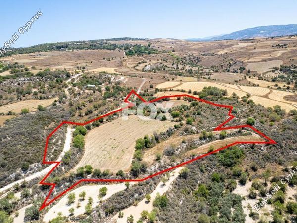 land for sale drynia paphos 8467946 image 15183671