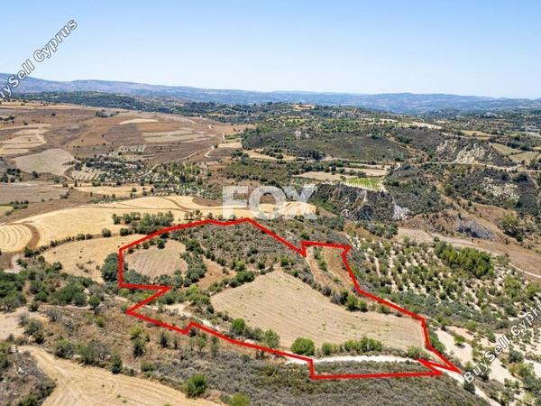 land for sale drynia paphos 8467946 image 15183672