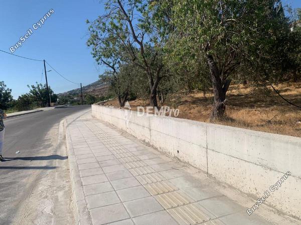 land for sale mesogi paphos 7812946 image 12701219
