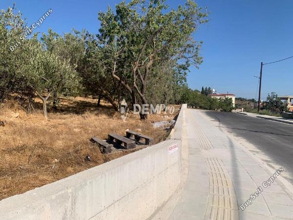 land for sale mesogi paphos 7812946 image 12701225
