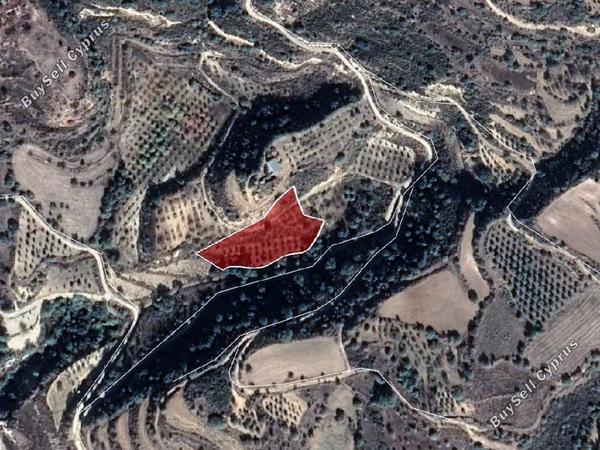 land for sale psathi paphos 832946 image 15599598