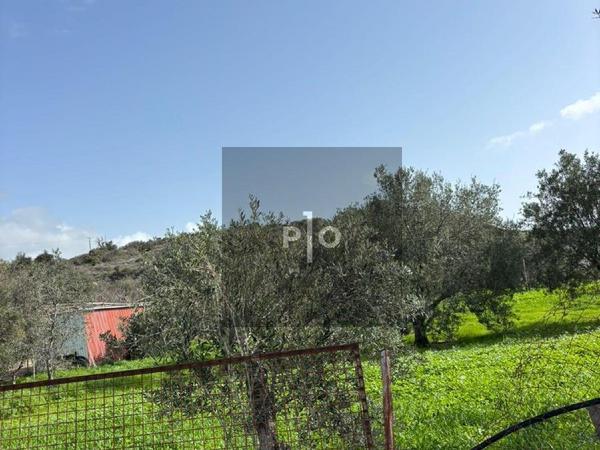 plot for sale agios tychonas limassol 8214946 image 15152681