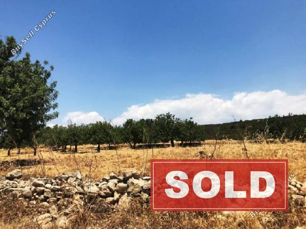 studio detached house sold souni zanakia limassol 939946 image 836970
