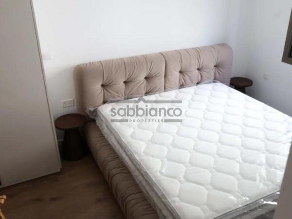 2 bedroom apartment for rent agios dometios nicosia 8749056 image 16471317