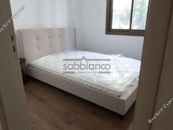 2 bedroom apartment for rent agios dometios nicosia 8749056 image 16471320