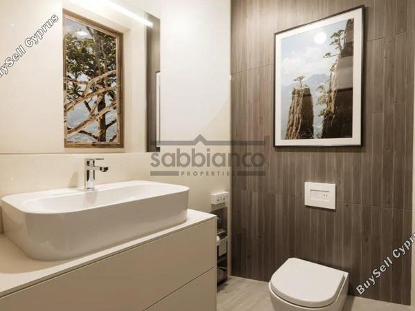 3 bedroom detached house for sale souni zanakia limassol 8740056 image 16377775