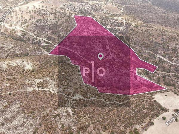 land for sale skarinou larnaca 8275056 image 15157149