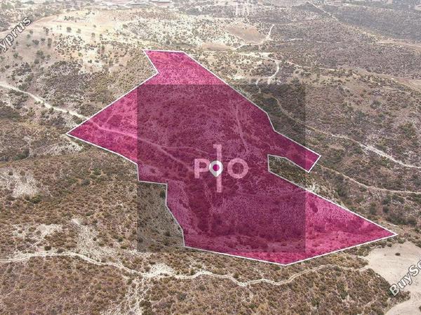 land for sale skarinou larnaca 8275056 image 15157151