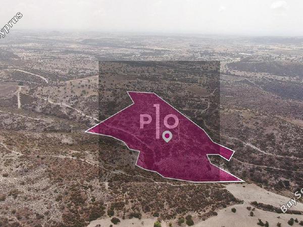 land for sale skarinou larnaca 8275056 image 15157155