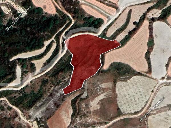 land for sale stroumbi paphos 8659056 image 17011278