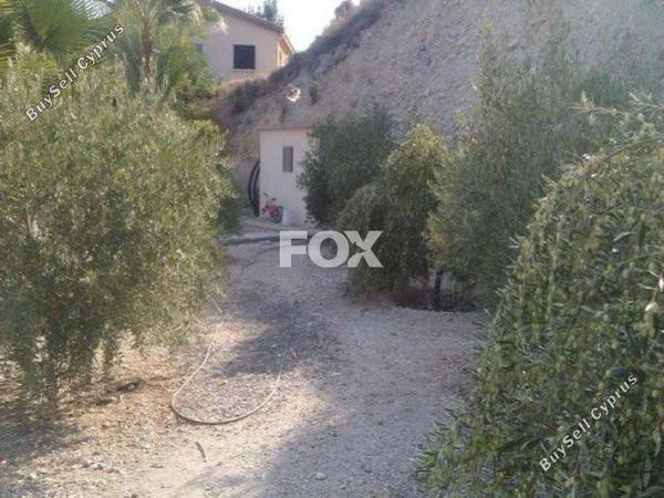 3 bedroom bungalow for sale foinikaria limassol 1146156 image 5492744
