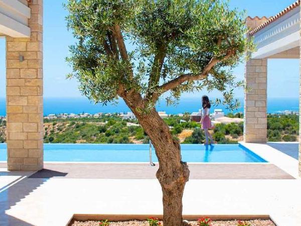 7 bedroom detached house for sale secret valley paphos 1916156 image 7431958
