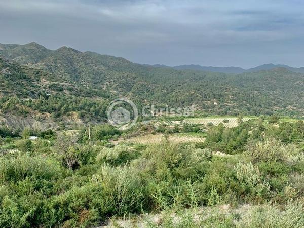 land for sale agios mamas limassol 7949156 image 14852854