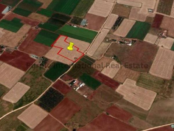 land for sale avgorou famagusta 7543156 image 9805838