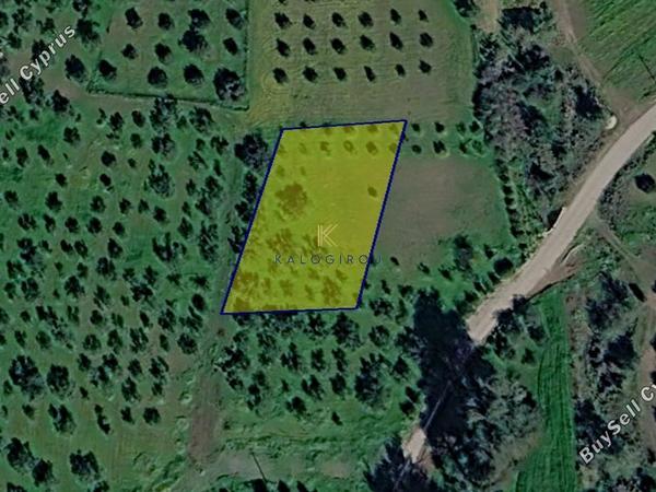 land for sale kornos larnaca 8711156 image 16276765