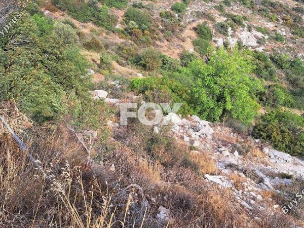 plot for sale tala paphos 1161156 image 14827680