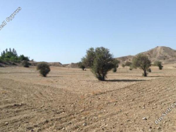 land for sale latsia nicosia 851256 image 2825349