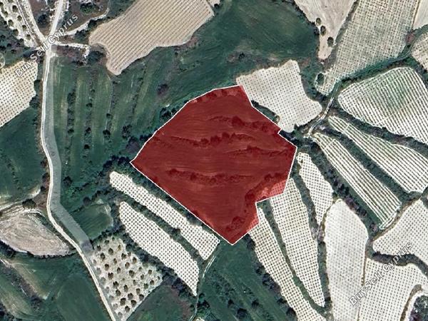 land for sale letymvou paphos 1105256 image 15602131