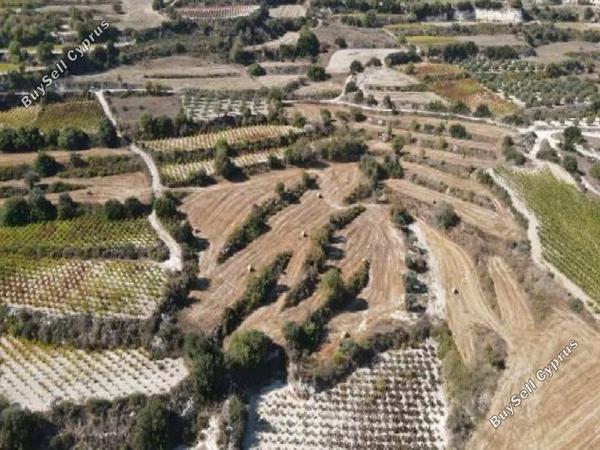 land for sale letymvou paphos 1105256 image 15602132