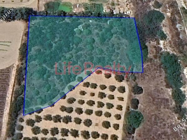 land for sale potamos germasogeias limassol 1674256 image 11174390