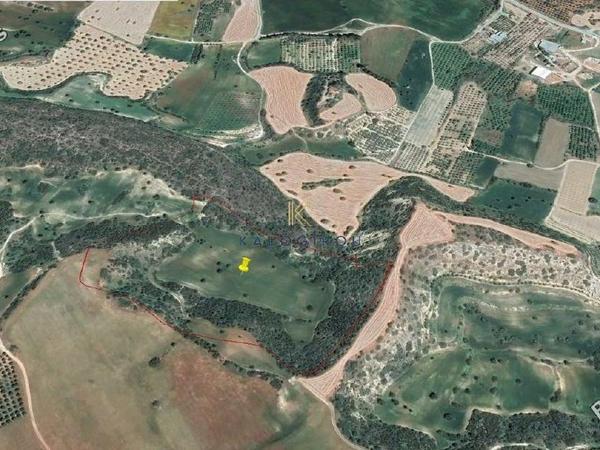 land for sale alaminos larnaca 1228356 image 13721478