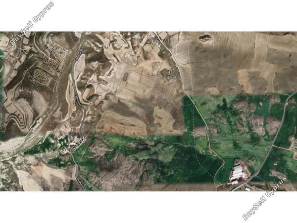 land for sale avdellero larnaca 1685356 image 6005316
