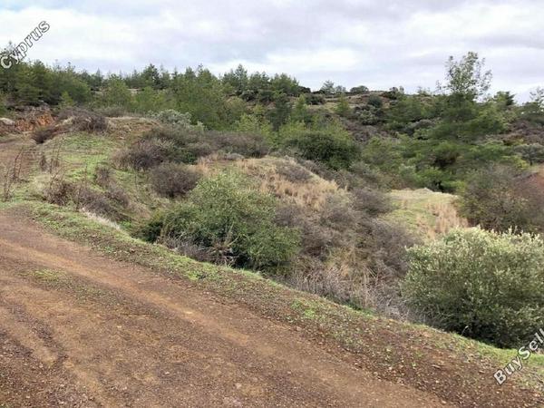 land for sale lysos paphos 1897456 image 14205716