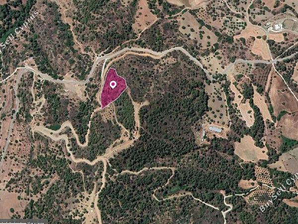 land for sale lysos paphos 1897456 image 14205719