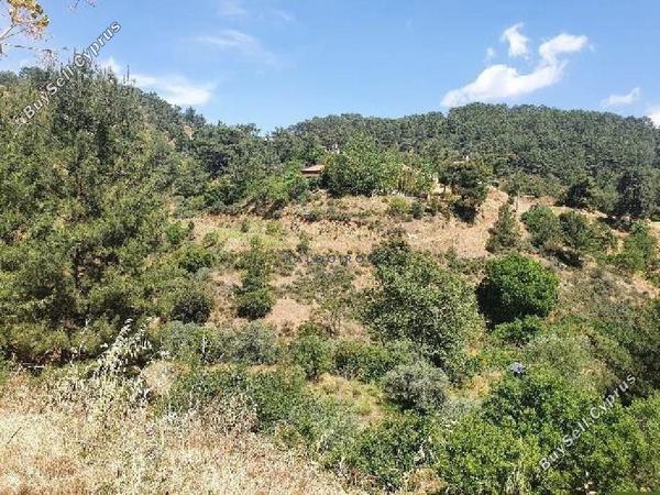 land for sale vavatsinia larnaca 1196456 image 5596402