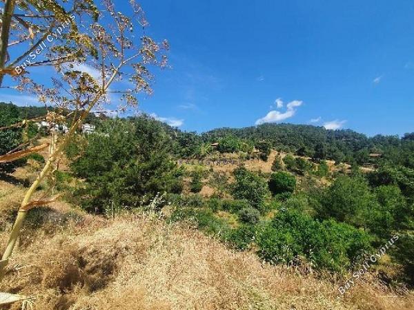land for sale vavatsinia larnaca 1196456 image 5596405